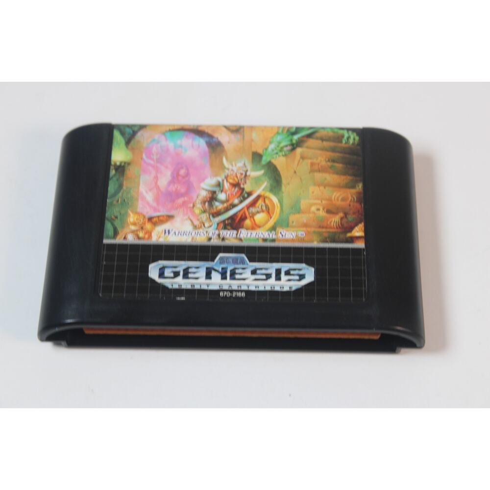 Dungeons & Dragons Warriors of the Eternal Sun Sega Genesis Video Game D&D RPG